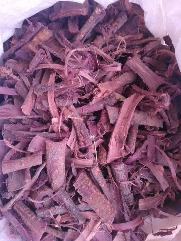 mexican-mimosa-hostilis-root-bark